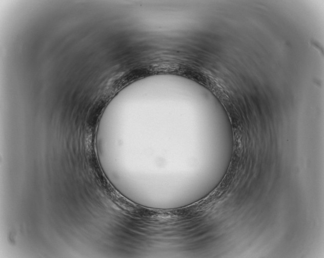 X0000095520745200712140909