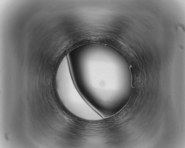 X0000095520750200712140909