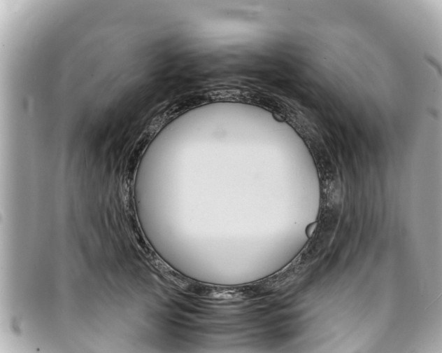 X0000095520753200712140909