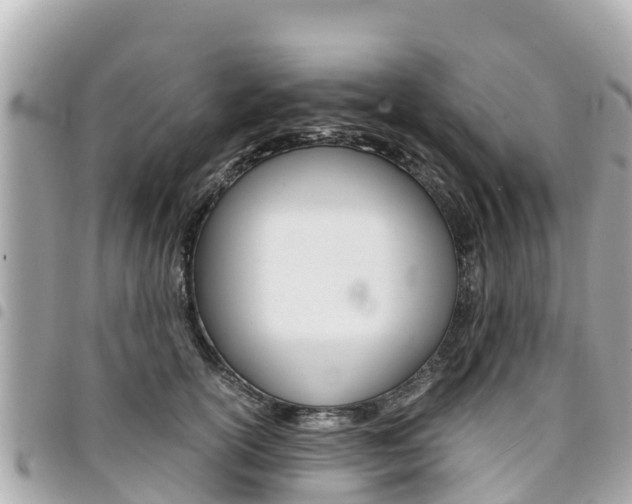 X0000095520754200712140909