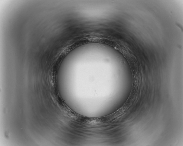 X0000095520755200712140909