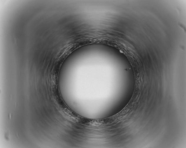 X0000095520756200712140909