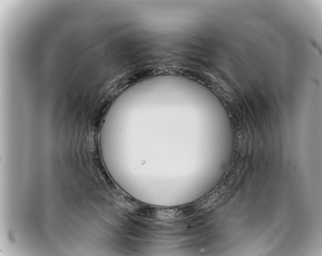 X0000095520757200712140909