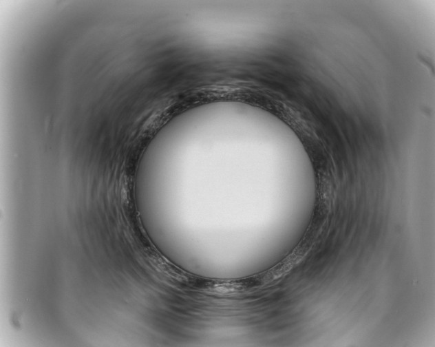 X0000095520758200712140909