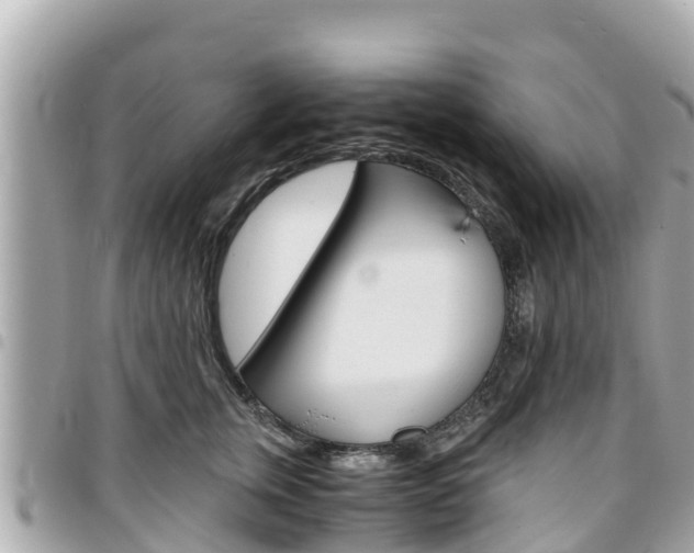 X0000095520759200712140909