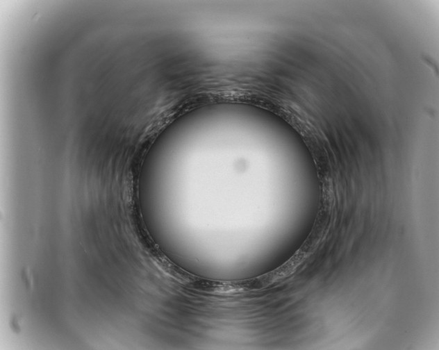 X0000095520760200712140909