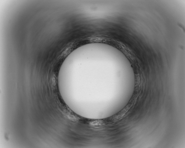 X0000095520761200712140909