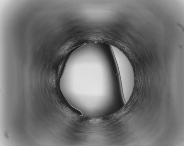 X0000095520762200712140909
