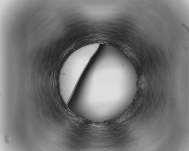 X0000095520763200712140909