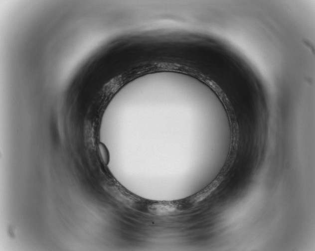 X0000095520765200712140909