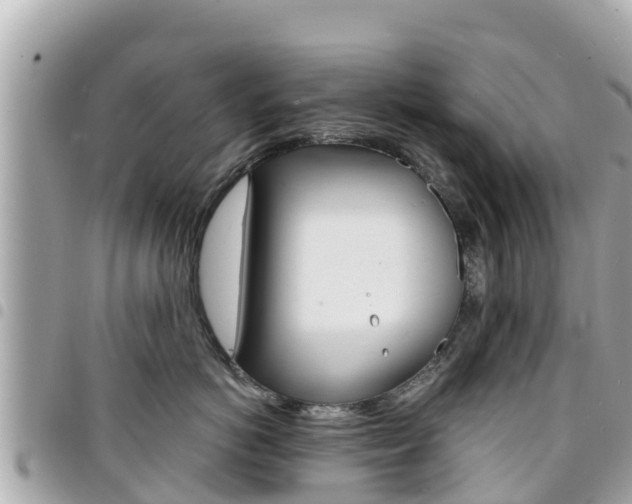 X0000095520766200712140909