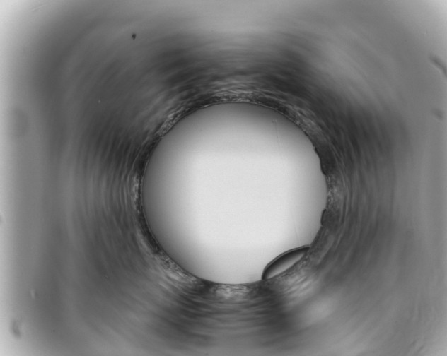 X0000095520767200712140909
