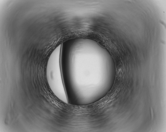 X0000095520772200712140908