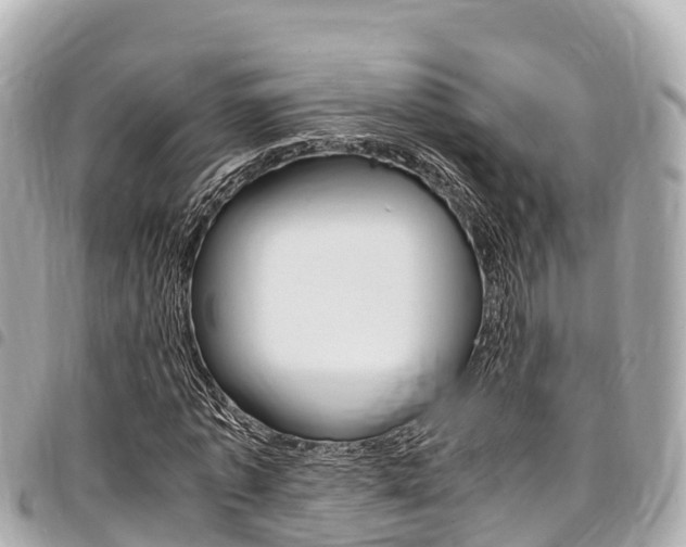 X0000095520773200712140908