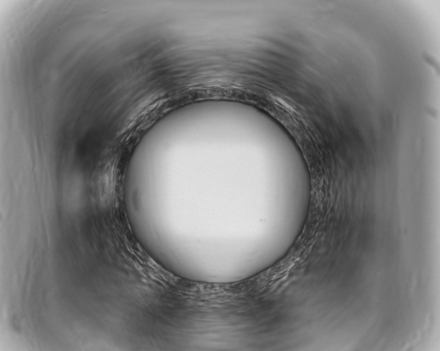 X0000095520774200712140908