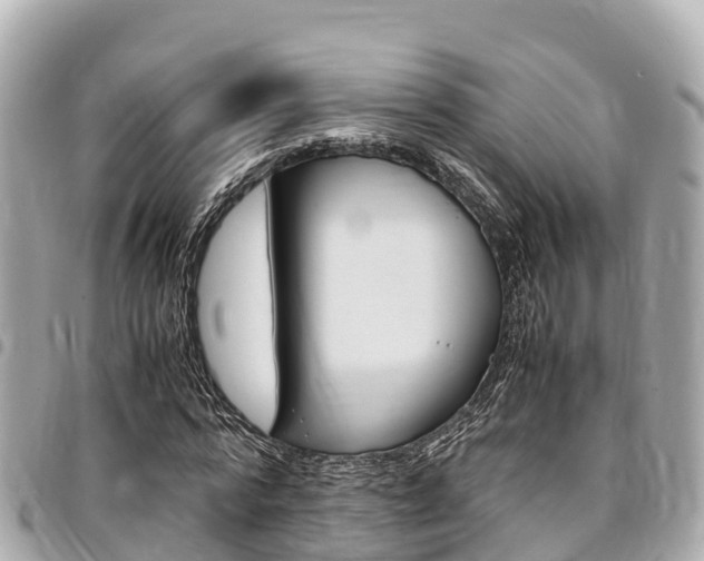 X0000095520776200712140908