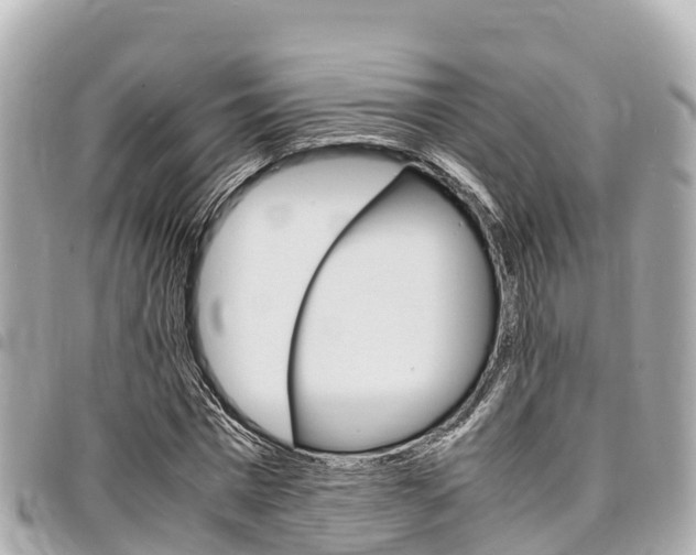 X0000095520777200712140908