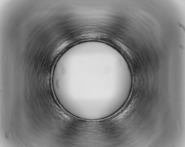 X0000095520778200712140908