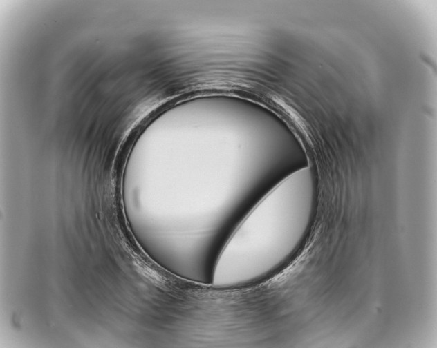 X0000095520779200712140908