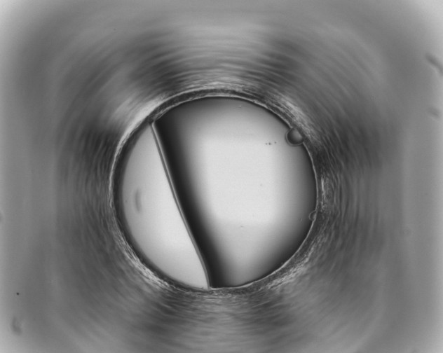 X0000095520780200712140908