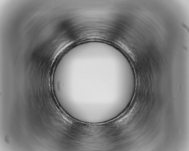 X0000095520782200712140908