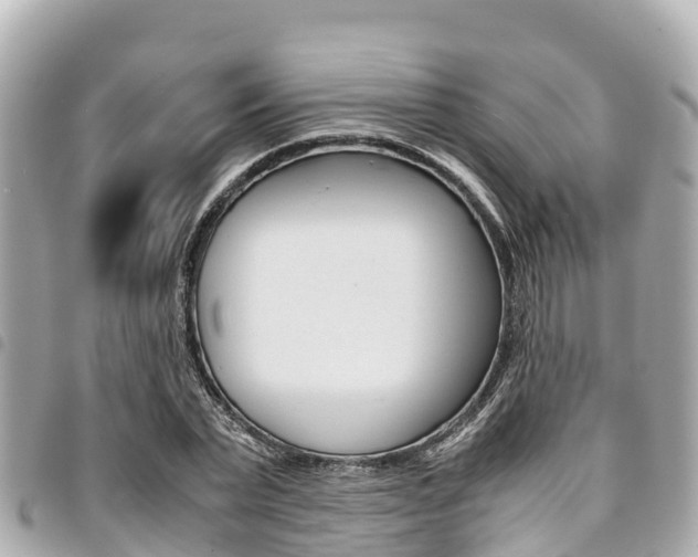 X0000095520783200712140908