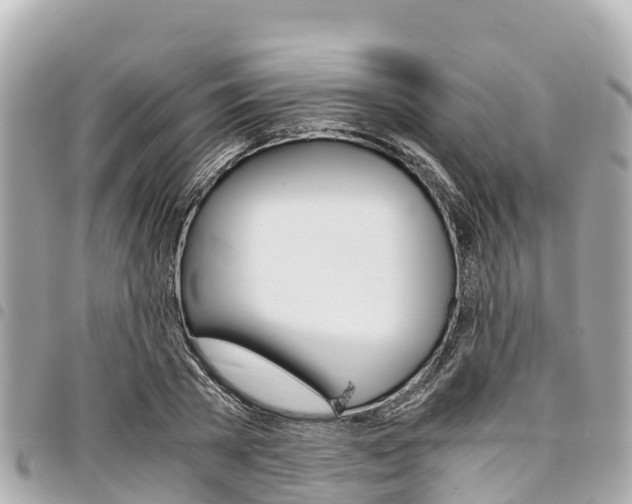 X0000095520785200712140908