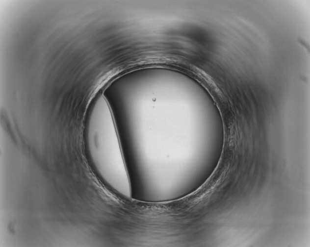 X0000095520786200712140908