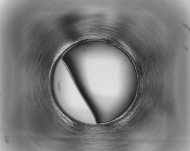 X0000095520787200712140908