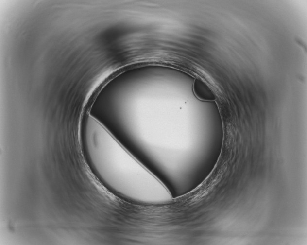 X0000095520788200712140908