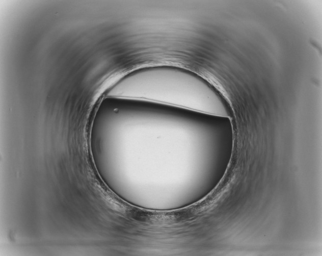 X0000095520789200712140908