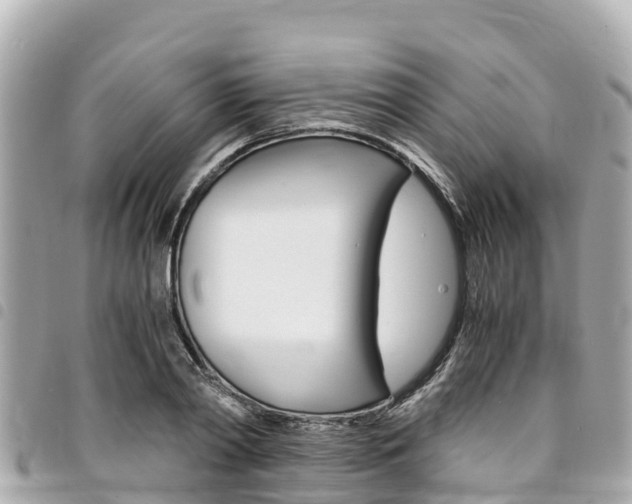 X0000095520790200712140908