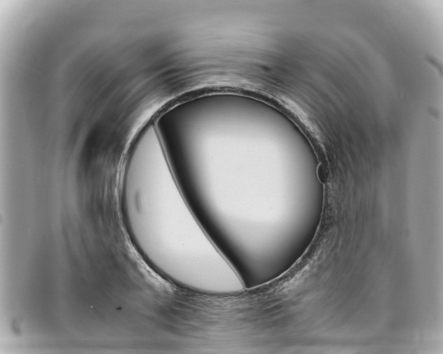 X0000095520791200712140908