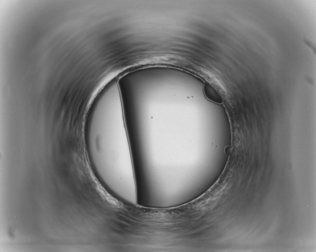 X0000095520792200712140908
