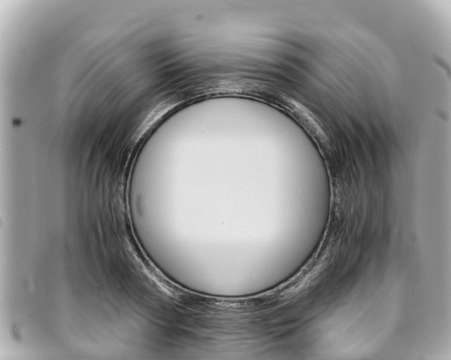 X0000095520794200712140908