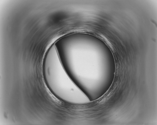 X0000095520795200712140908