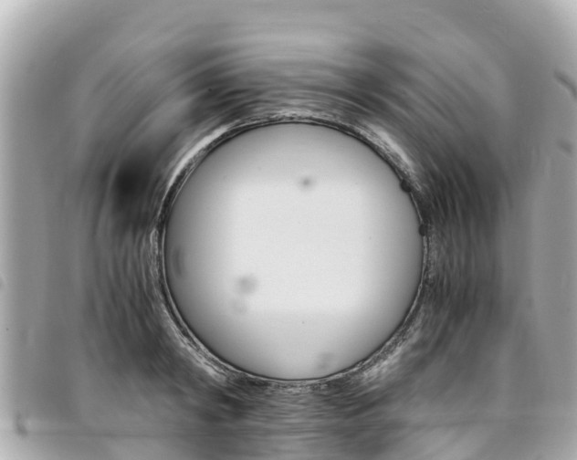 X0000095520798200712140908