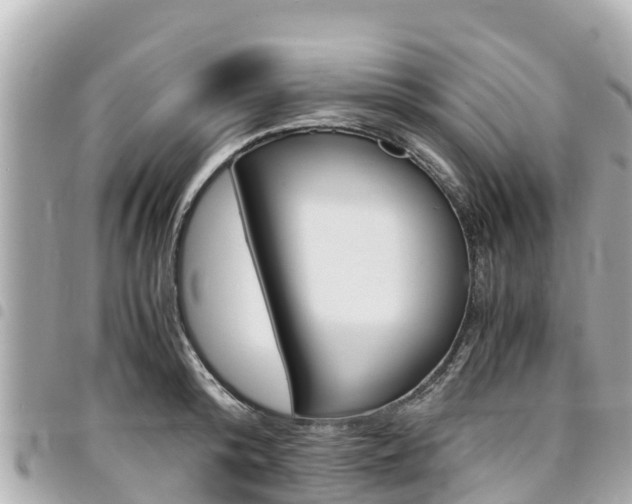 X0000095520800200712140908