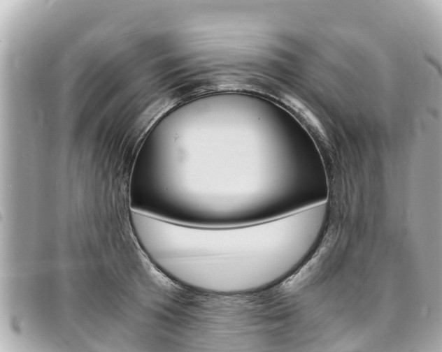 X0000095520801200712140908