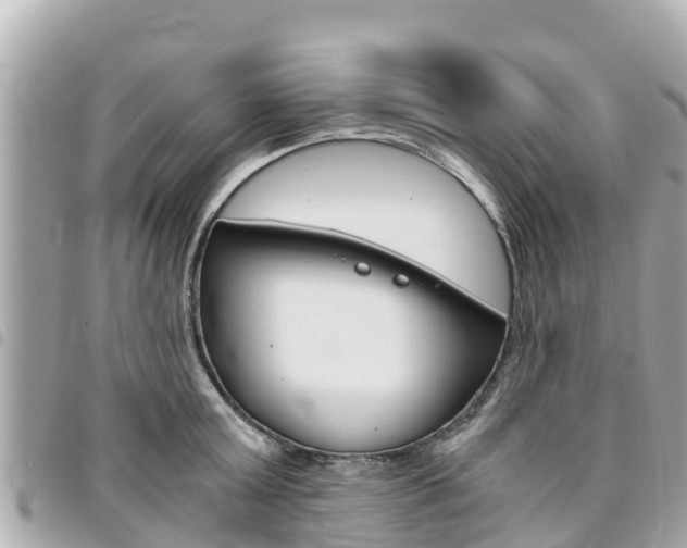 X0000095520803200712140908