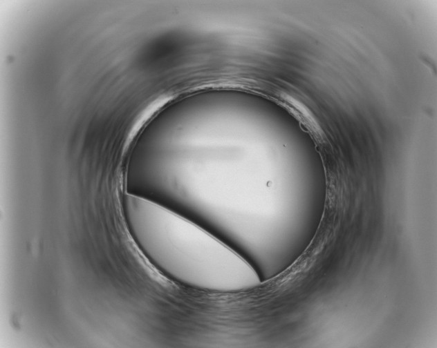 X0000095520804200712140908