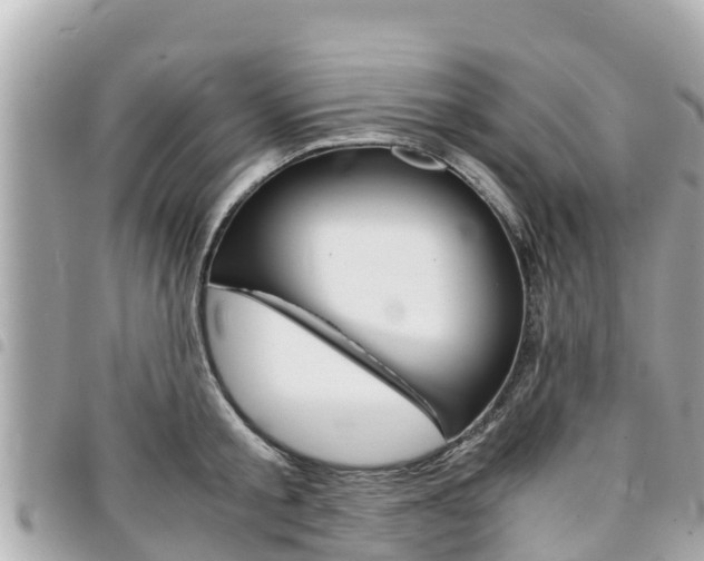 X0000095520805200712140908