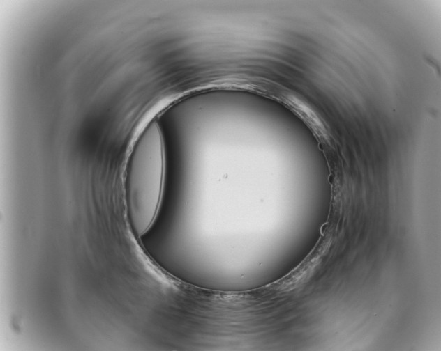 X0000095520808200712140908