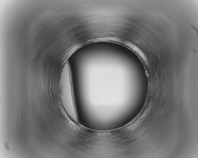 X0000095520809200712140908