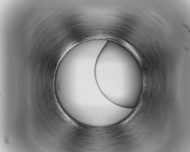 X0000095520810200712140908