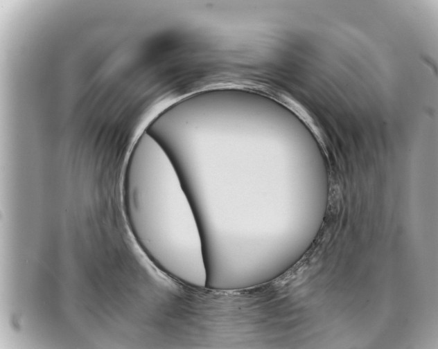 X0000095520811200712140908