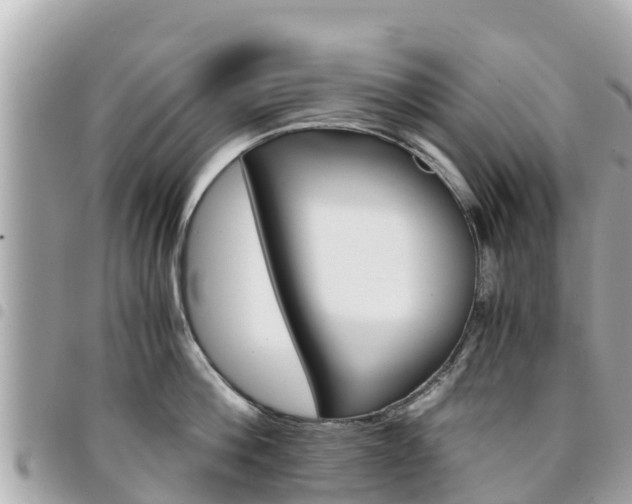 X0000095520812200712140908