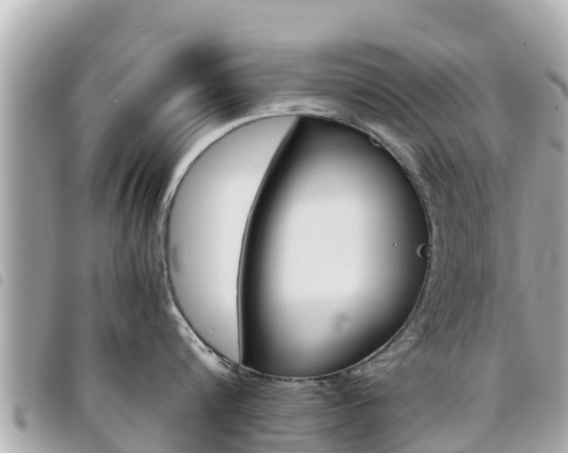 X0000095520816200712140908