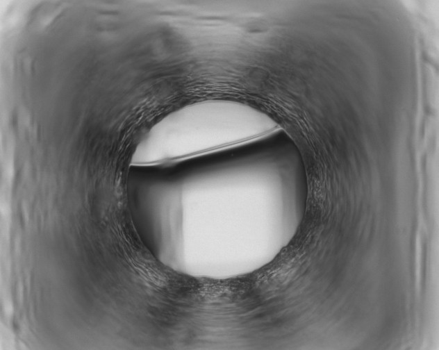 X0000095520818200712140907