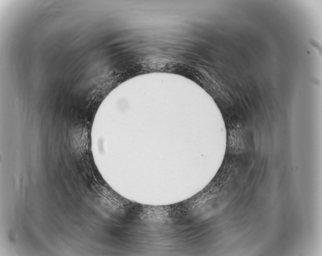 X0000095520820200712140907